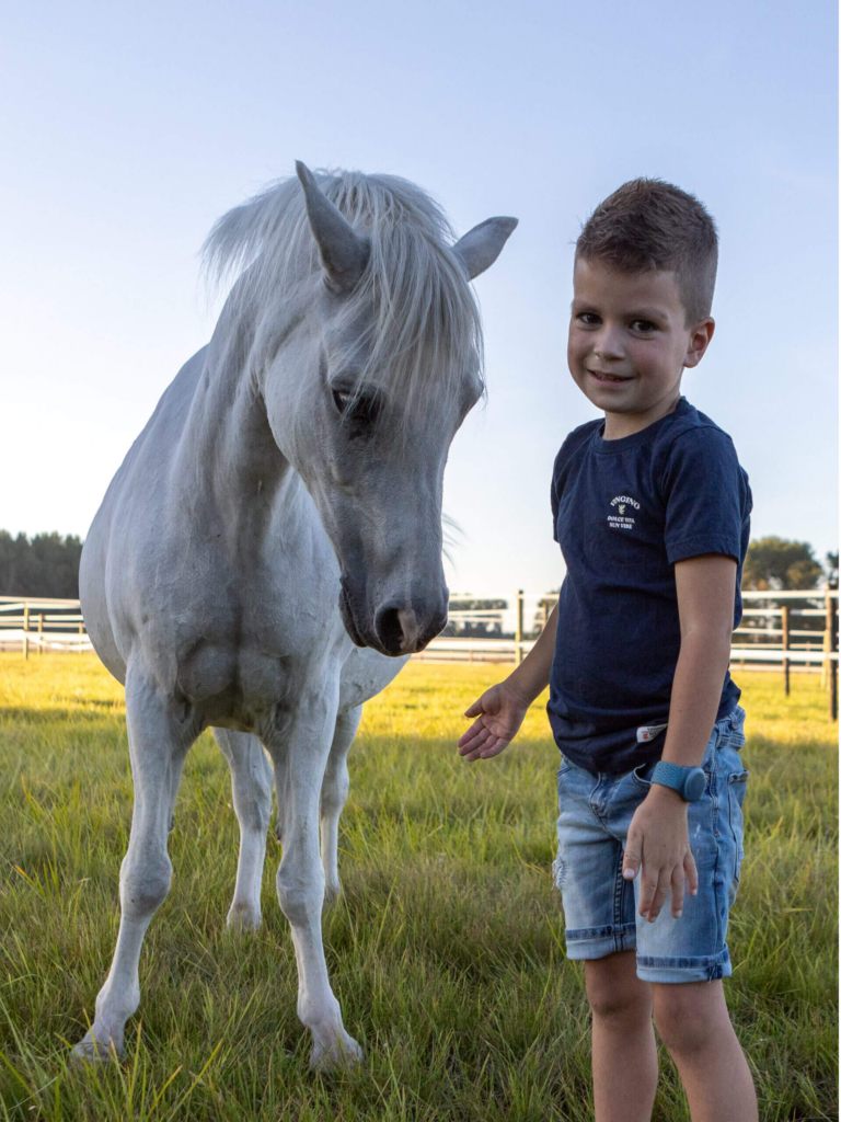 Individuele Coaching