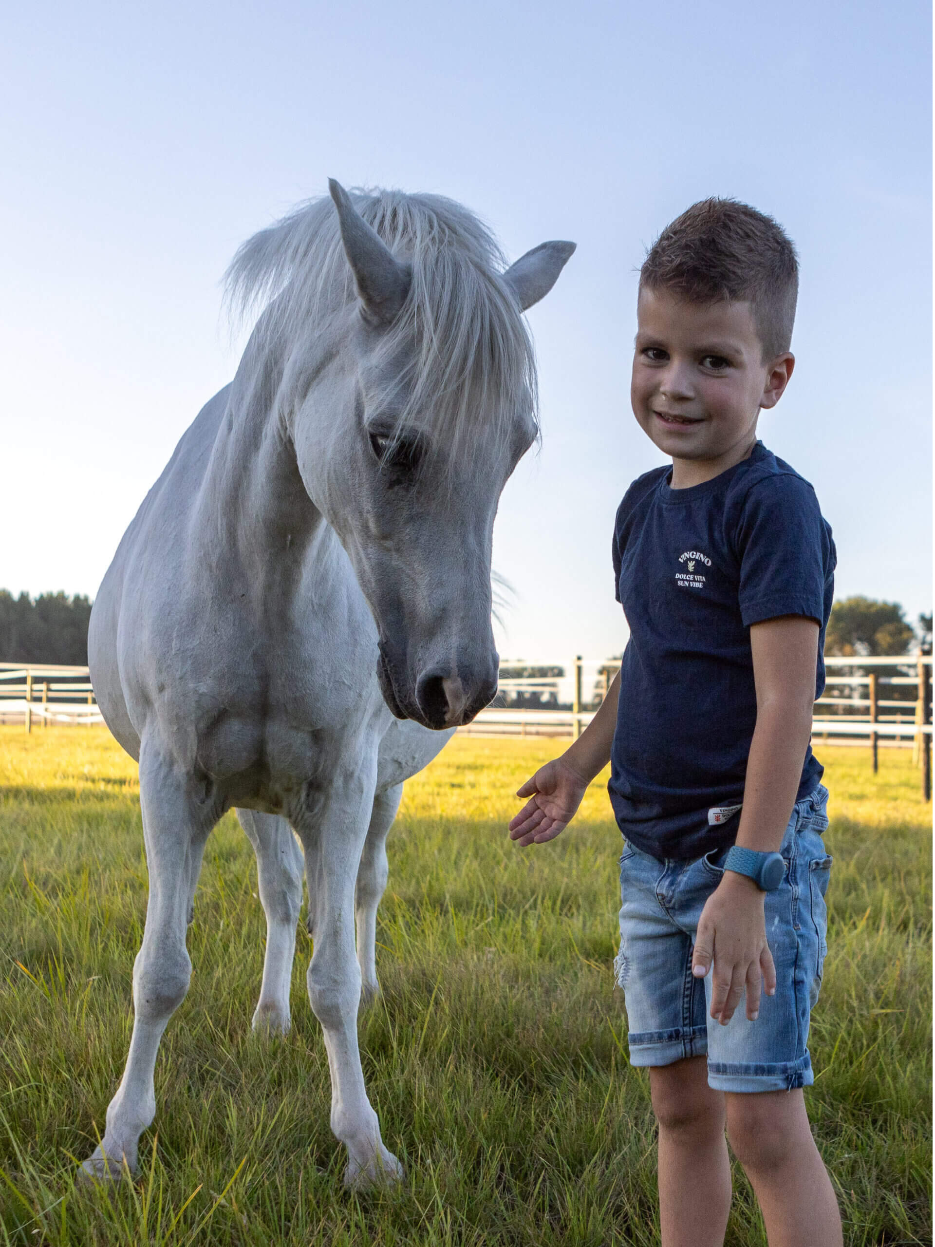 Individuele Coaching